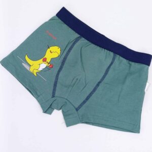 Sous-vêtements pour enfants Dragon Jaune pour garçons 2-3 ans