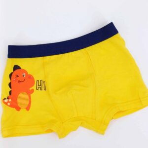 Sous-vêtements pour enfants Dragon Rouge pour les garçons de 2-3 ans