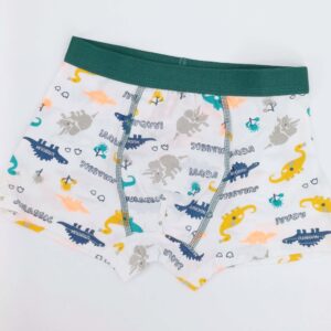 Sous-vêtements pour enfants Dragon pour garçons 2-3 ans