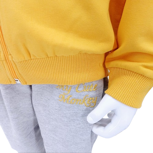 Ensemble 2 pièces pour bébé – Sweat à capuche jaune avec motif lionne et pantalon gris