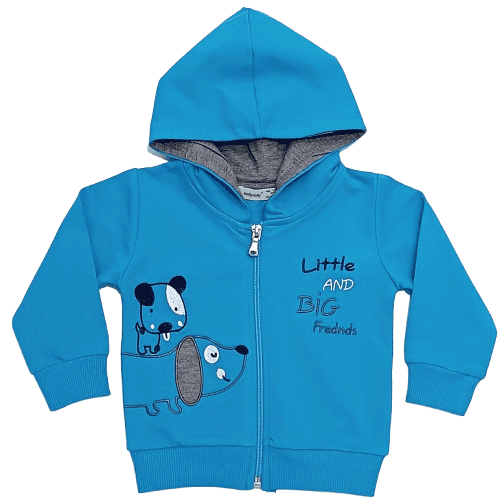 Ensemble 2 pièces pour bébé – Sweatshirt à capuche bleu et pantalon gris avec motif chien