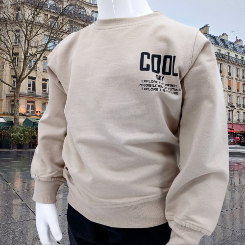 Découvrez notre sweat-shirt pour garçons 'Cool Boy', taille 1 à 4 ans. Confortable et tendance, il allie coton doux, polyester durable et élasthanne pour un style parfait. Disponible en beige.
