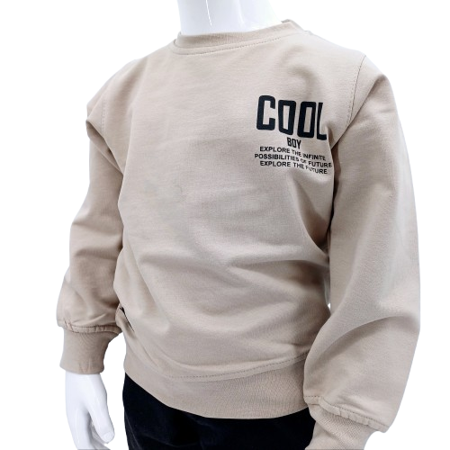 Découvrez notre sweat-shirt pour garçons 'Cool Boy', taille 1 à 4 ans. Confortable et tendance, il allie coton doux, polyester durable et élasthanne pour un style parfait. Disponible en beige.