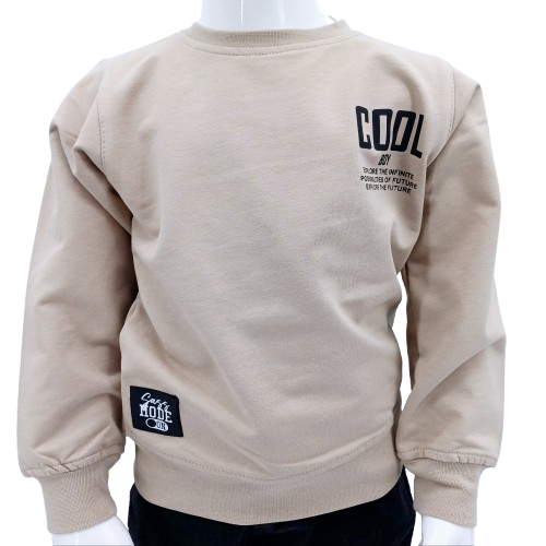 Découvrez notre sweat-shirt pour garçons 'Cool Boy', taille 1 à 4 ans. Confortable et tendance, il allie coton doux, polyester durable et élasthanne pour un style parfait. Disponible en beige.