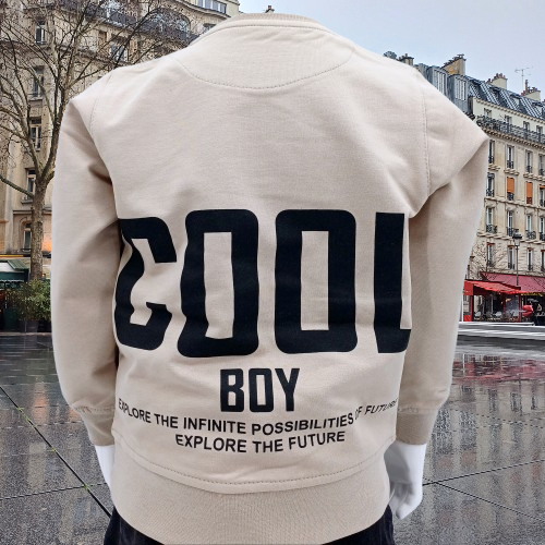 Découvrez notre sweat-shirt pour garçons 'Cool Boy', taille 1 à 4 ans. Confortable et tendance, il allie coton doux, polyester durable et élasthanne pour un style parfait. Disponible en beige.