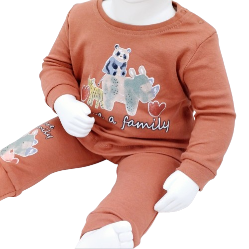 Découvrez l'ensemble bébé en coton "We Are a Family" - 2 tenues confortables et stylées pour les tout-petits. Disponibles en tailles 3-6 à 12-18 mois, 100 % coton.