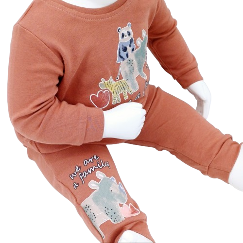 Découvrez l'ensemble bébé en coton "We Are a Family" - 2 tenues confortables et stylées pour les tout-petits. Disponibles en tailles 3-6 à 12-18 mois, 100 % coton.