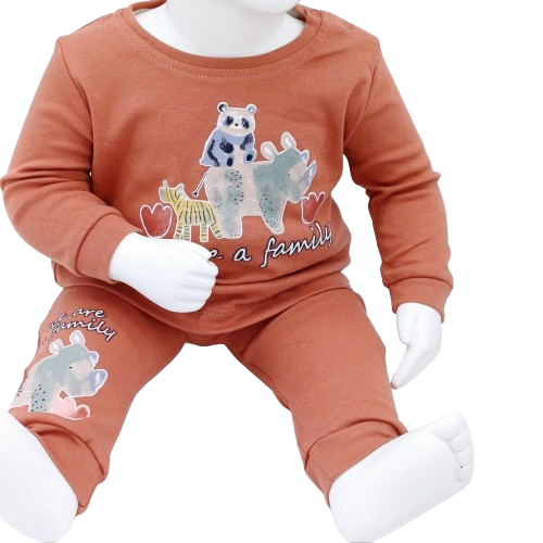 Découvrez l'ensemble bébé en coton "We Are a Family" - 2 tenues confortables et stylées pour les tout-petits. Disponibles en tailles 3-6 à 12-18 mois, 100 % coton.