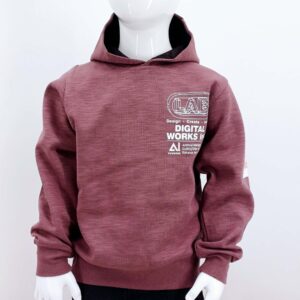 Sweat à capuche garçon style moderne avec graphismes Digital Works Inc. Disponible en tailles 3 à 6 ans. Confortable et pratique, parfait pour les journées fraîches.