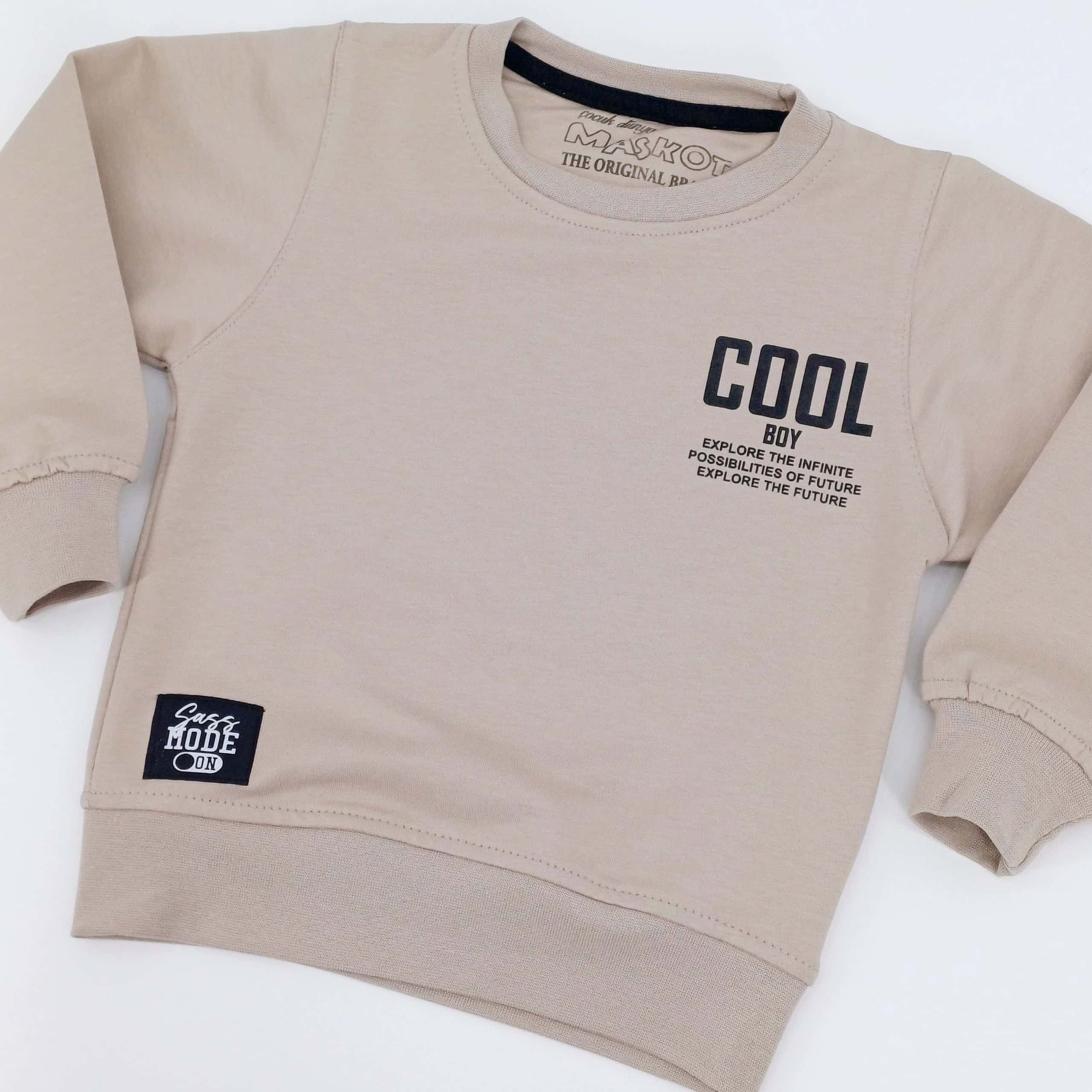 Découvrez notre sweat-shirt pour garçons 'Cool Boy', taille 1 à 4 ans. Confortable et tendance, il allie coton doux, polyester durable et élasthanne pour un style parfait. Disponible en beige.
