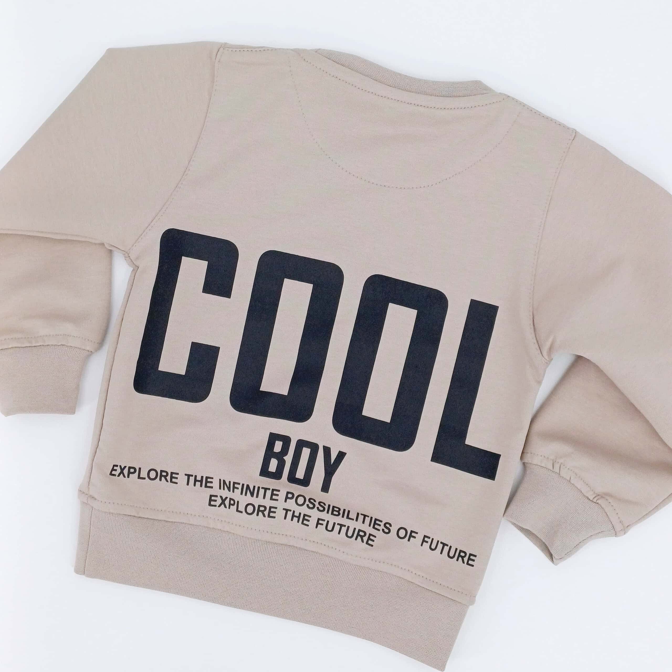 Découvrez notre sweat-shirt pour garçons 'Cool Boy', taille 1 à 4 ans. Confortable et tendance, il allie coton doux, polyester durable et élasthanne pour un style parfait. Disponible en beige.