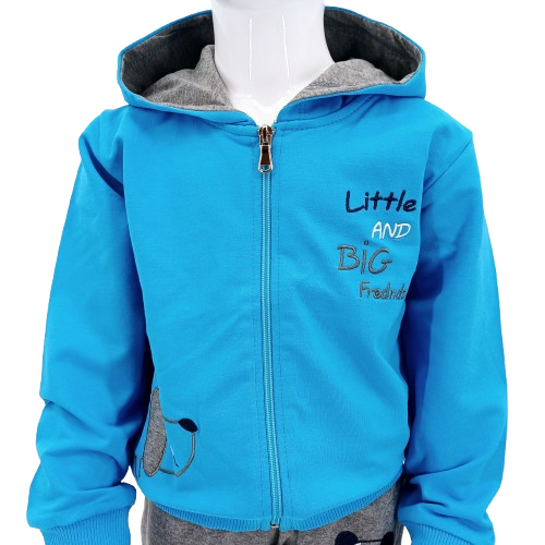 Ensemble 2 pièces pour bébé – Sweatshirt à capuche bleu et pantalon gris avec motif chien