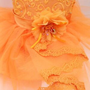 Robe orange de cérémonie pour bébé fille avec tulle, broderies et fleur